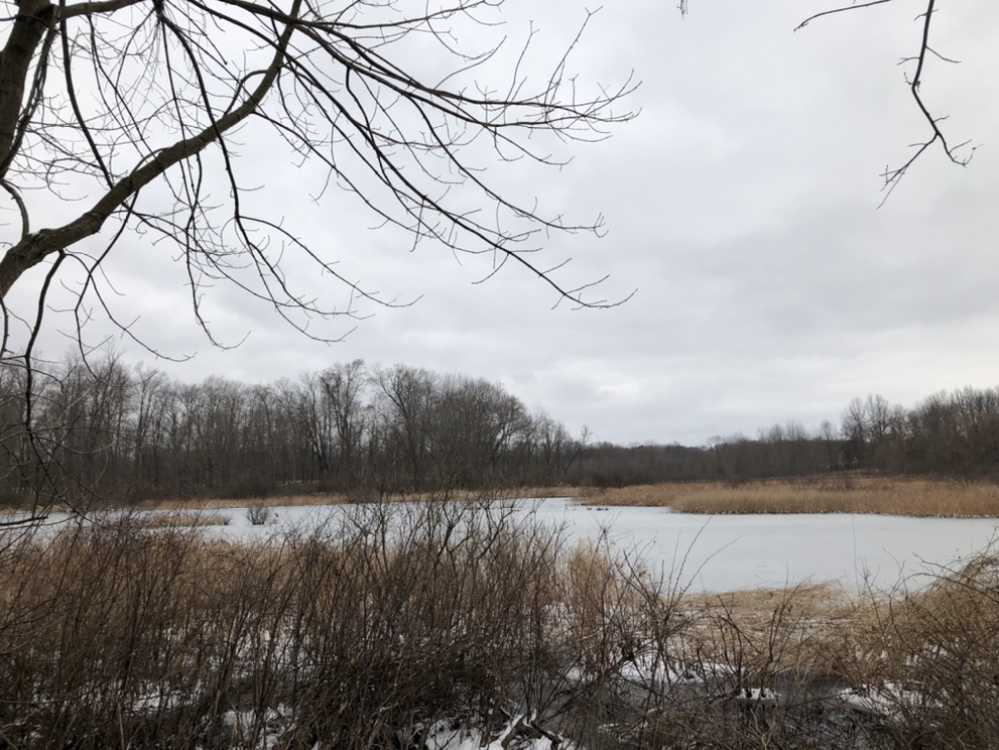 Lydick Bog