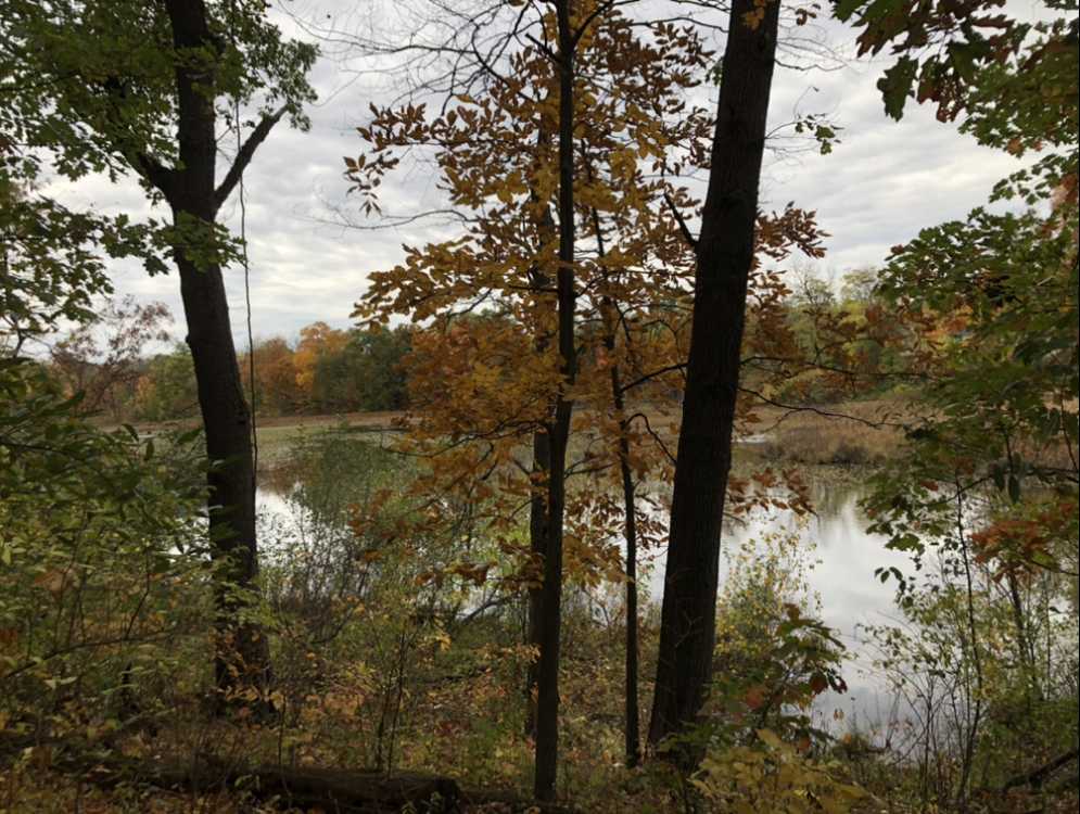 Rudolphi Wildlife Refuge // John Griffee.
