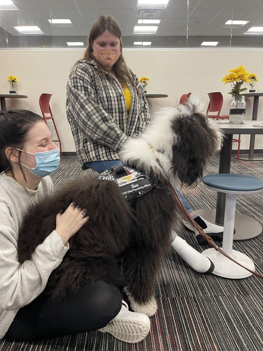 Who let the dogs out? Therapy animals visit Honors Lounge