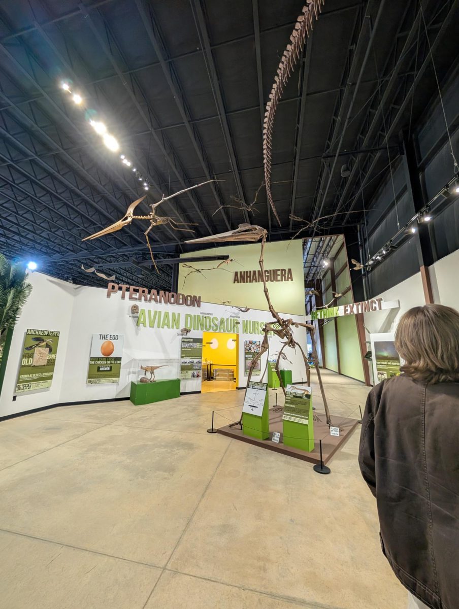 Photo // Arin Howe - 
THAT’S ONE BIG GUY. Quetzalcoatlus is one of the largest genuses of pterosaurs. Quetzalcoatlus northropi’s wingspan has been estimated to be up to 69 feet.
